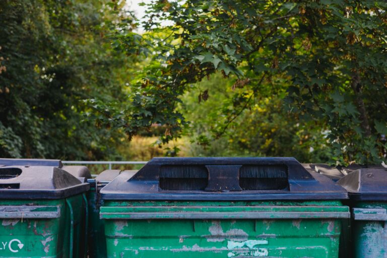 dumpster rental