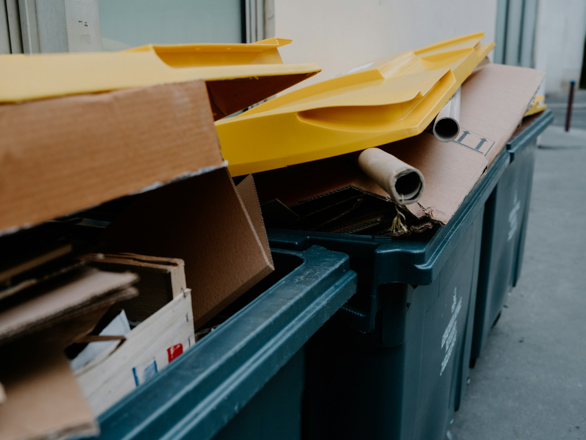 Dumpster Rental